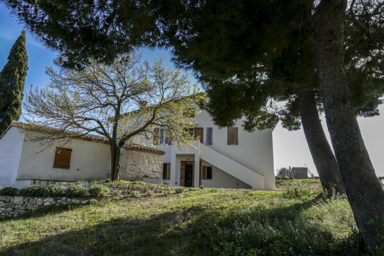 Massignano 116 Bed & Breakfast Sirolo Exterior foto